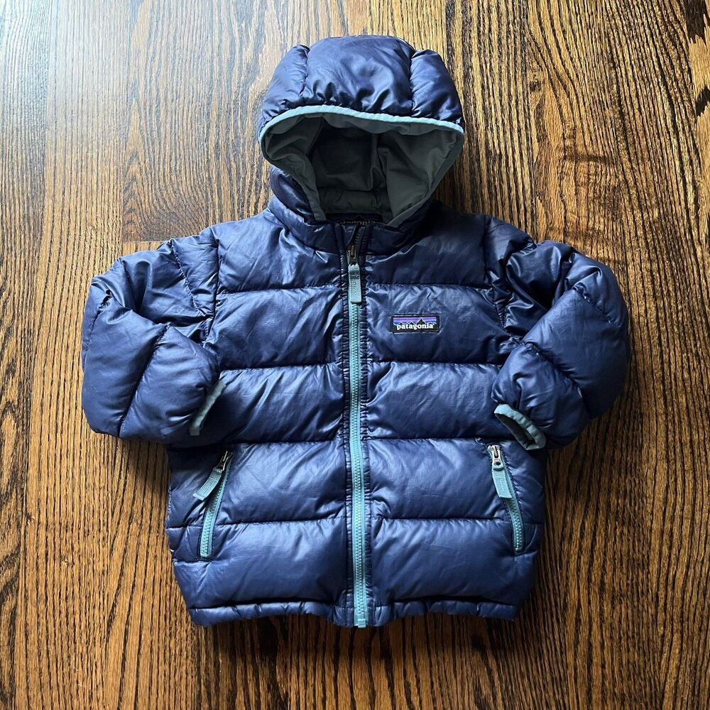 Patagonia Hi-Loft Down Sweater Hoody (2T)